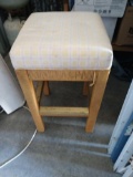 Cushioned stool