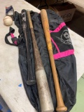 Bat bag bats and baseballs