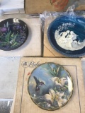 3- Collector plates