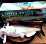Cool Catfish new