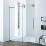 Shower door