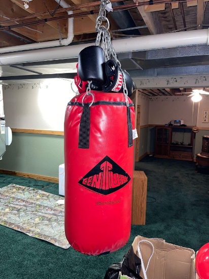 Century punching bag and gloves basement