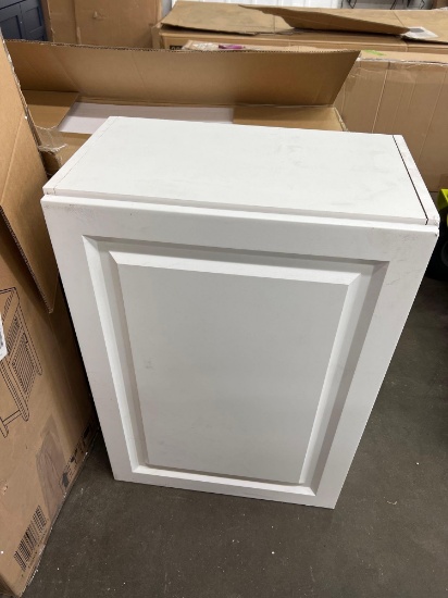 21x37 in White Cabinet