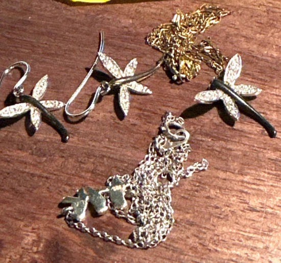 dragonfly earrings, and pendant