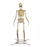 12 foot skeleton bring help to load