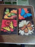 four 10x10 butterfly pictures