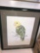 framed signed & number parrot picture