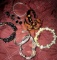 9-Bracelets