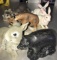 6- animal figurines