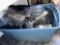 large tote of car cases for display