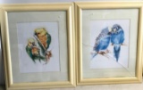 2-signed parrot pictures 19 in x 24 in glass broke on one picture
