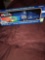 Racing Champions Jeff Gordon 24 DuPont 1/64 scale transporter with premier stock car