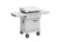 LoCo smartTemp precision griddle