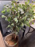 5 ft artificial tree Must Bring Help to Load Come to preview
