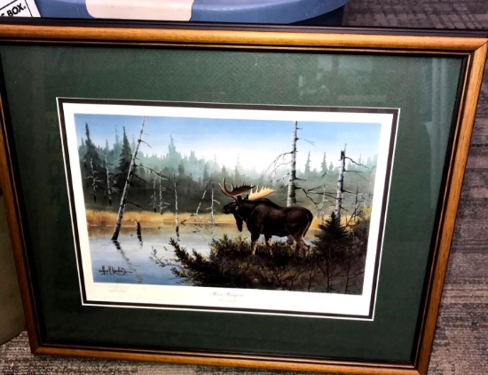 Moose Hangout by Les C. Kouba limited edition signed/numbered picture 16 in x 19 in