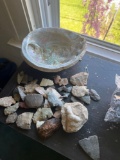 fossil and stone lot - upstairs