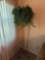 5 ft plant stand living room