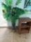 rolling shelf and plant pool room