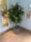 7 ft artificial tree - pool room
