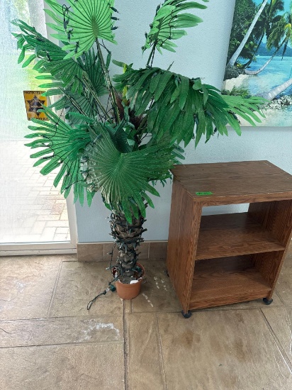 rolling shelf and plant pool room