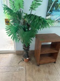 rolling shelf and plant pool room