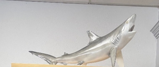 Decorative Shark