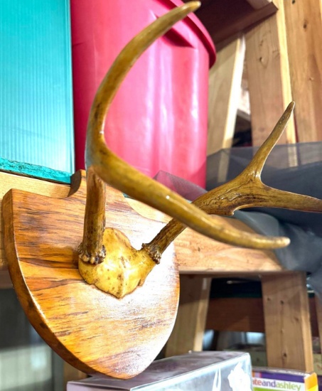 antlers mount