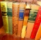 25- Book lot
