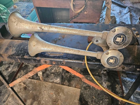 dual horns