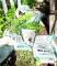 Approximate ten bags of topsoil
