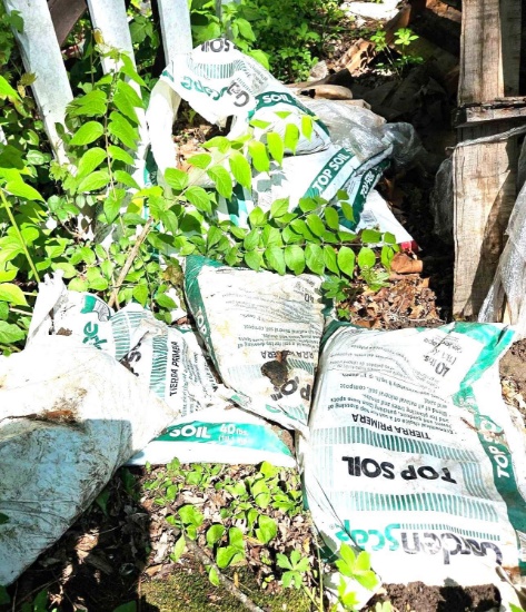 Approximate ten bags of topsoil