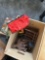vintage vehicles/parts/accessories