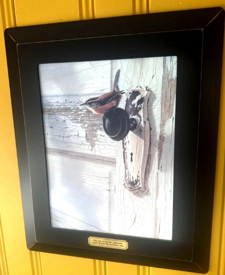 2- sparrow pictures