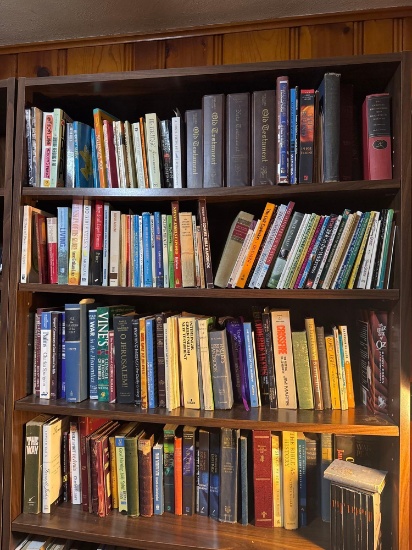 4- Shelves of Books B2