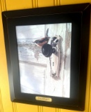 2- sparrow pictures