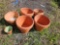 6 clay potting pots