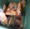 Frames/ picture books