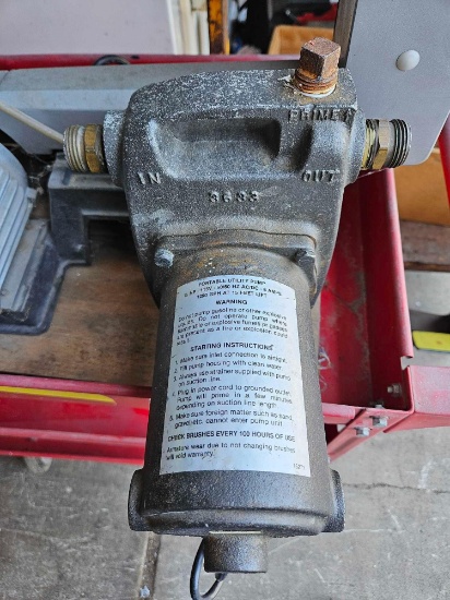 Portable utility pump