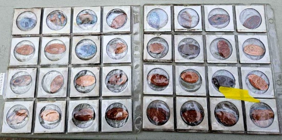 32 smashed penny collection