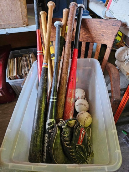 tote with bats,mit,and siftballs