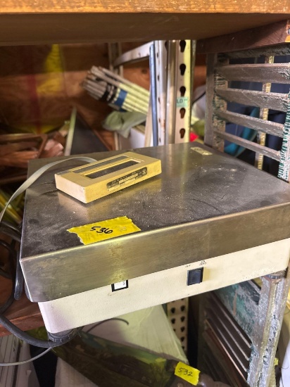 Electric Scale