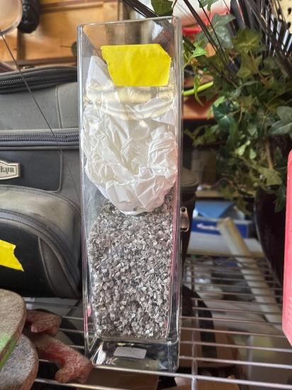 13 in Glass Vase