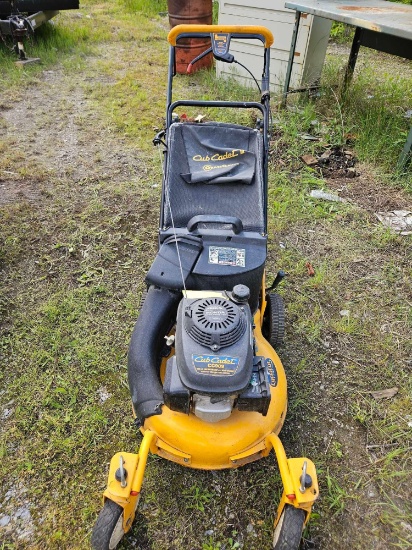 cub cadet push mower with bag