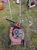 Push lawn mower and chainsaw