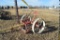 McCormick deering Big 6 Horse drawn Mower