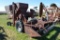 Massey Harris 35 Combine, Cute Collector!