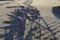 IH 3 Bottom Sod Plow