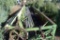 JD 100 Series Wheat head, 20 ft.