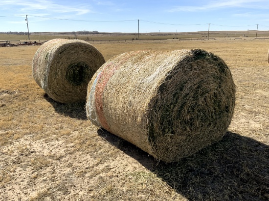 2 Medium Round Bales of 4th Cutting Alfalfa Hay