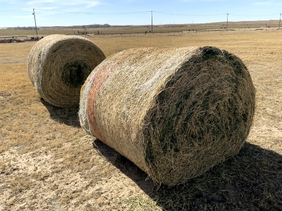 2 Medium Round Bales of 4th Cutting Alfalfa Hay